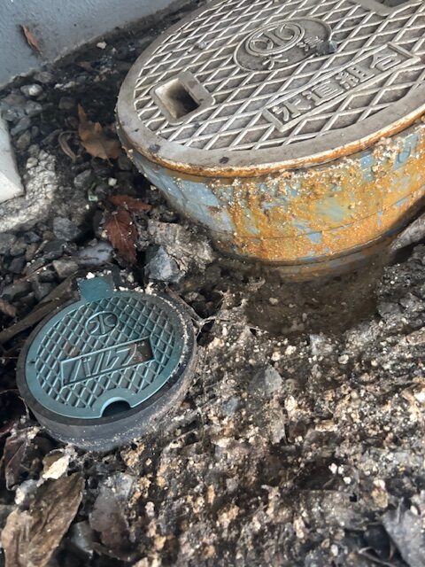 Why Outdoor Drain Maintenance Matters (Absent Owners) img 3712