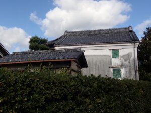 Why Checking for Termites (Shiroari) Is Essential for Akiya Owners in Japan