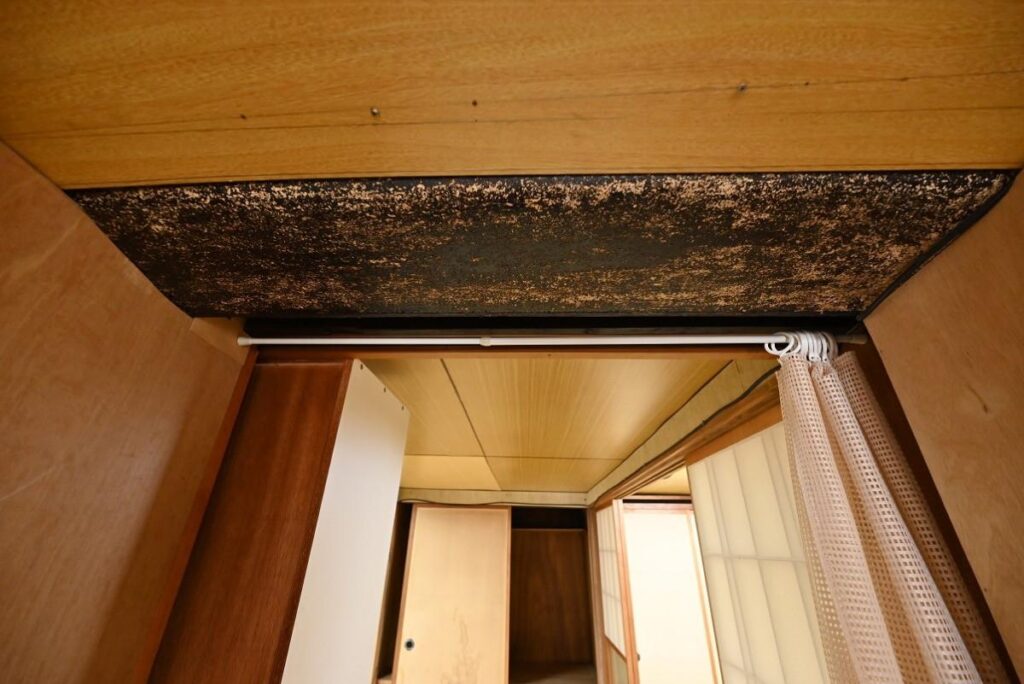 How Often Should You Inspect an Empty House in Japan? Mold and moisture damage inside a traditional Japanese house